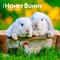 Honey Bunny | 2026 7 x 14 Inch (Hanging) Monthly Mini Wall Calendar